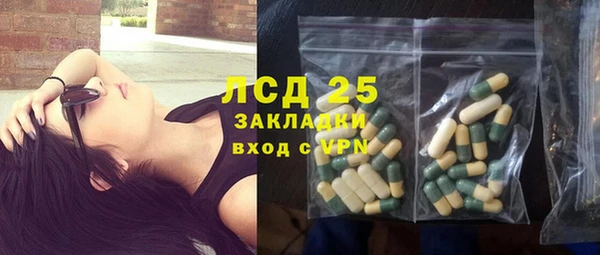 PSILOCYBIN Беломорск