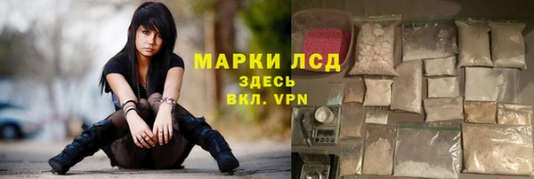PSILOCYBIN Беломорск
