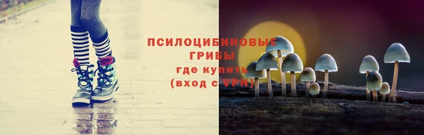 PSILOCYBIN Беломорск