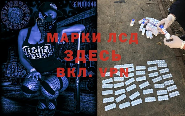 PSILOCYBIN Беломорск