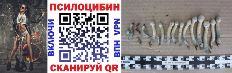 Купить  Всеволожск  Псилоцибиновые грибы Magic Shrooms 